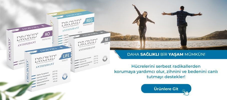 Antioksidan