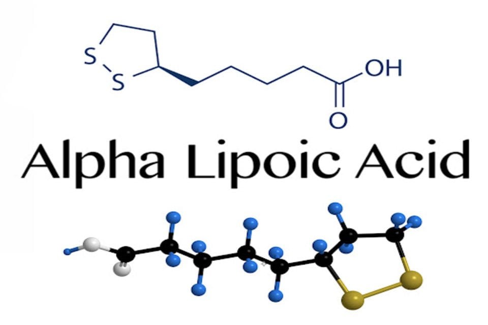 Alfa Lipoik Asit Nedir?